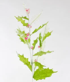 Iced Holly Spray, Lime Green Leaves And Pink Berries - Set Of 3